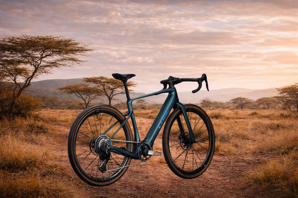 Gravel E-Bike